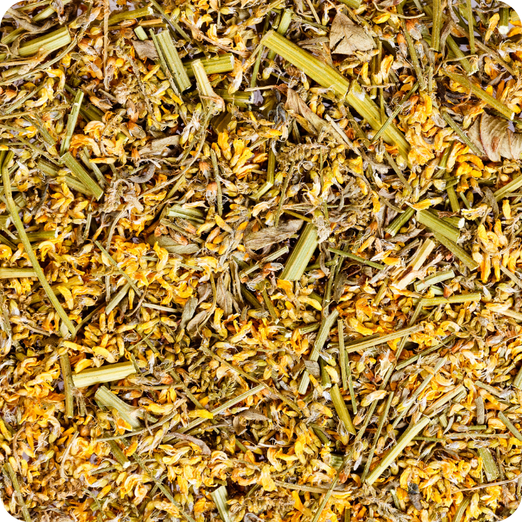 Meliloto Sommità Fiorite Taglio Tisana (Melilotus officinalis)