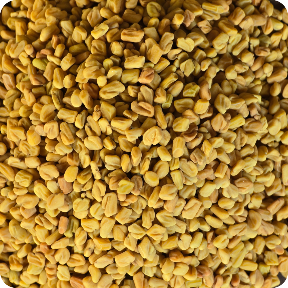 Fieno Greco Semi interi (Trigonella foenum-graecum)