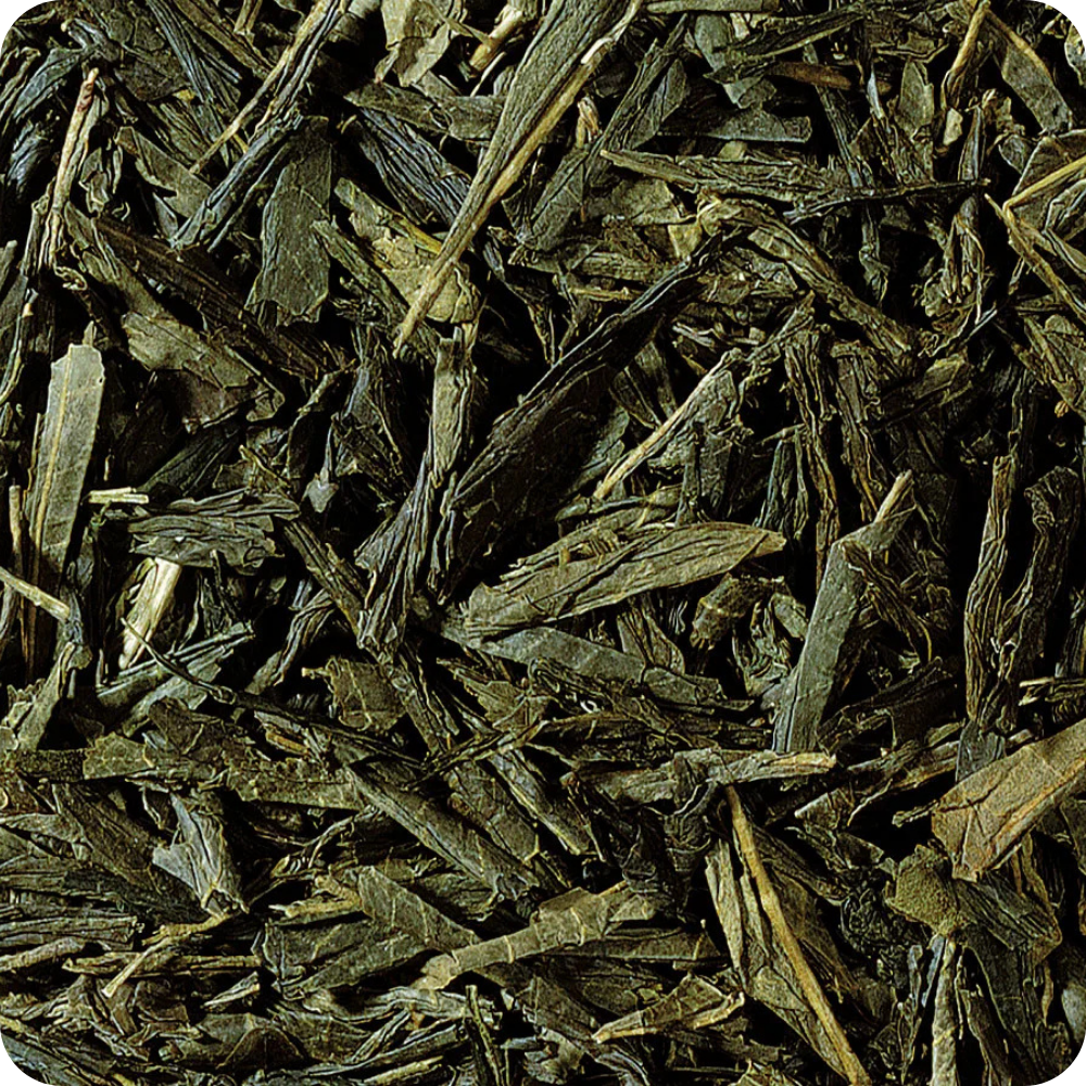 Bancha BIO Giapponese — Tè Verde Classico Quotidiano