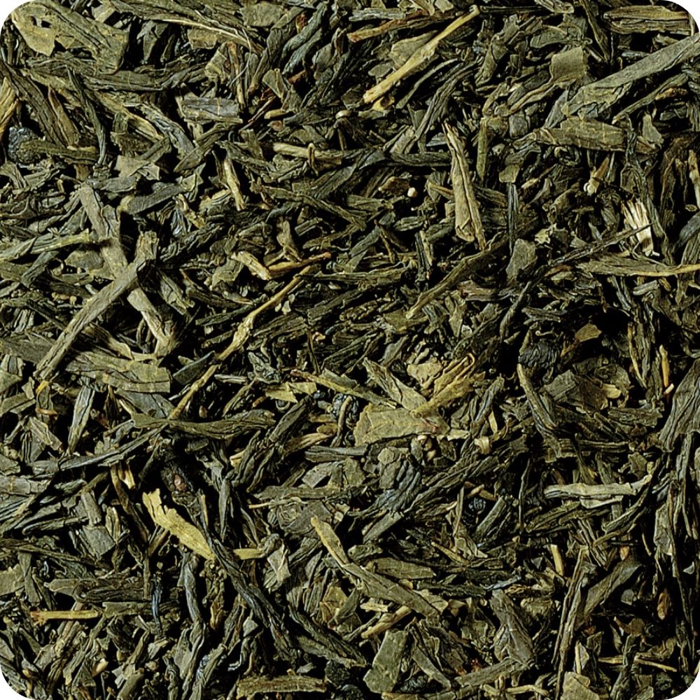 Sencha Biologico Cinese — Tè Verde Bio Fresco ed Erbaceo