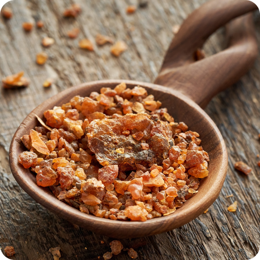 Mirra in Grani (Commiphora myrrha) | Resine e Incensi