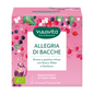 Allegria di Bacche Neavita 15 Filtri Scrigno – Infuso Biologico ai Frutti e Bacche