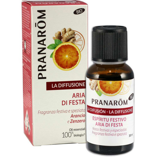 Aria di Festa - Mix per diffusione