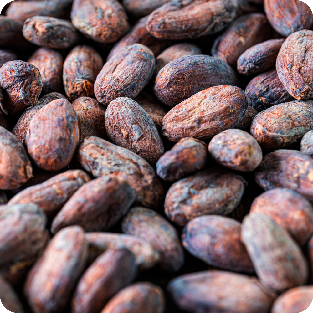 Fave di Cacao crudo intere | Superfood del Buonumore