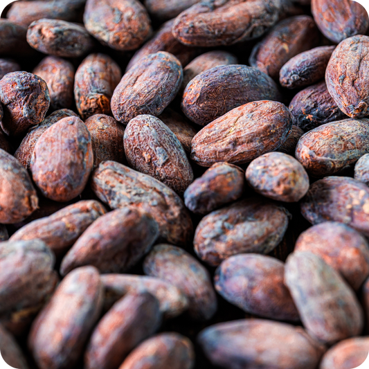 Fave di Cacao crudo intere | Superfood del Buonumore