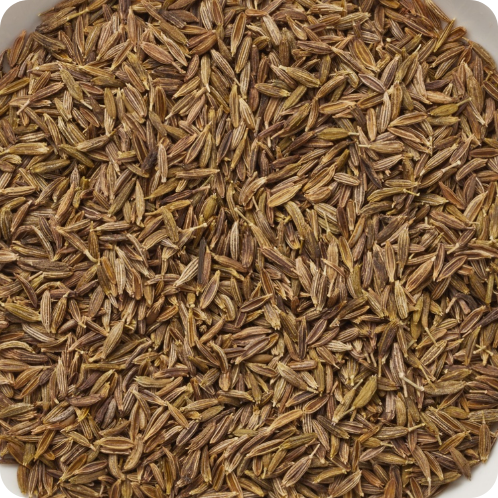 Cumino di Malta (Cuminum cyminum) – Qualità EXTRA