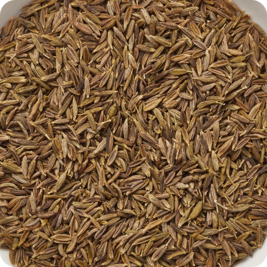 Cumino di Malta (Cuminum cyminum) – Qualità EXTRA