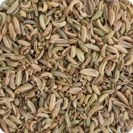 Finocchio Semi Bio (Foeniculum vulgare) – Qualità EXTRA