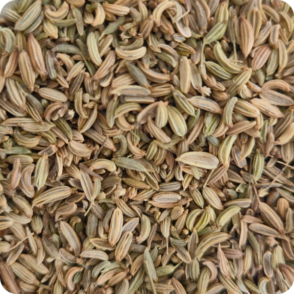 Finocchio Semi Bio (Foeniculum vulgare) – Qualità EXTRA