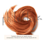 Phitofilos Henné Rosso N.3 Erba Tintoria Lawsonia Inermis 100g