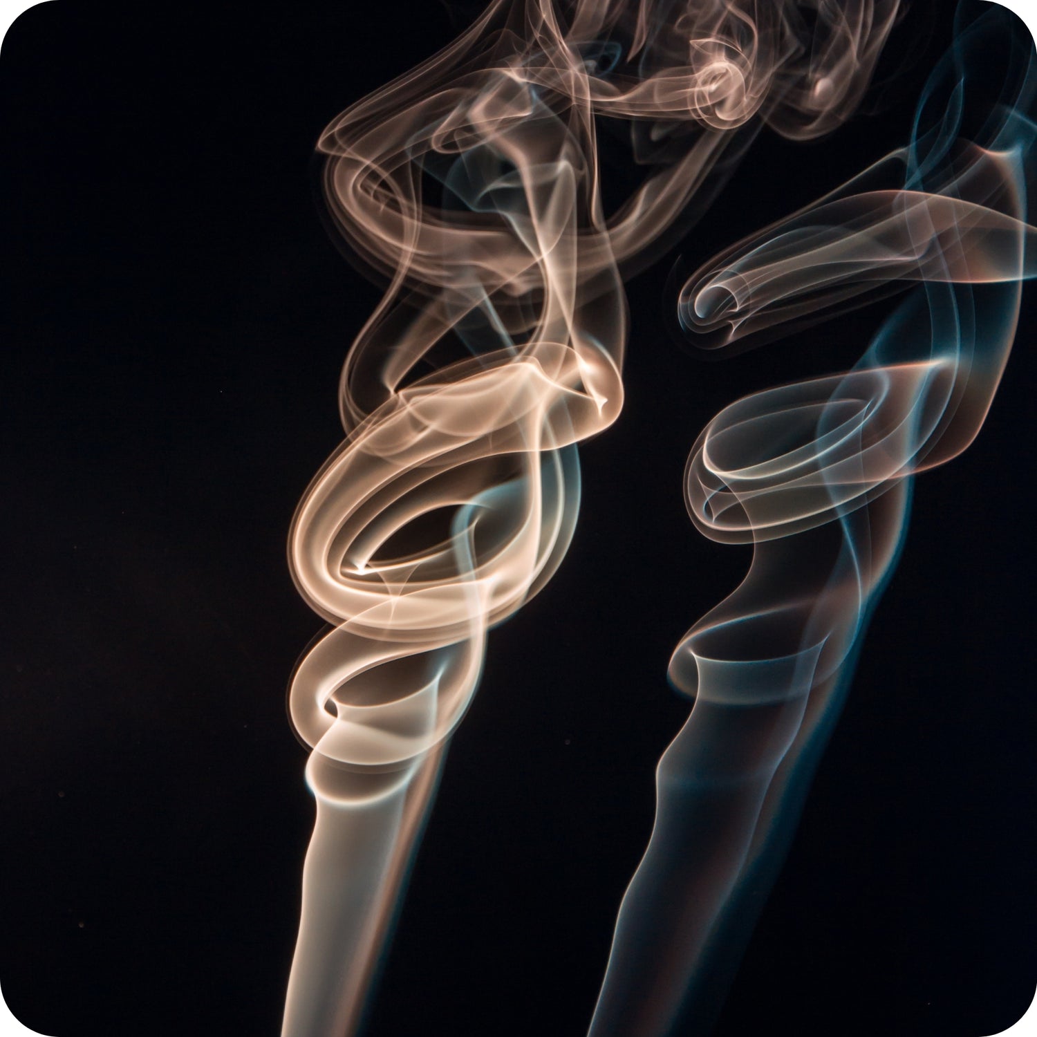 Incensi e resine