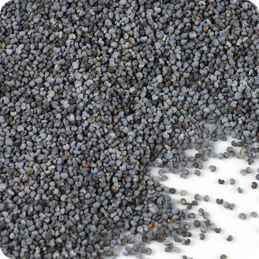 Semi di Papavero Blu