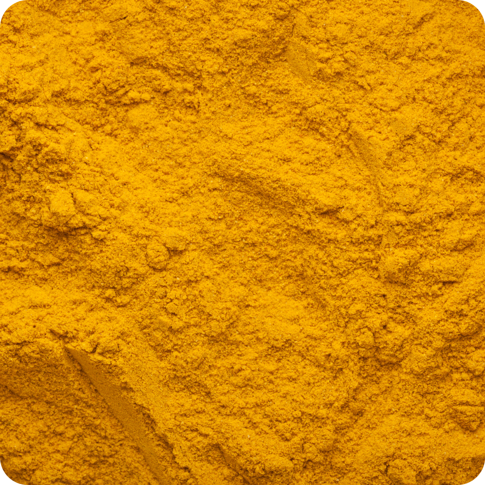 Curcuma in Polvere - Selezione Superiore