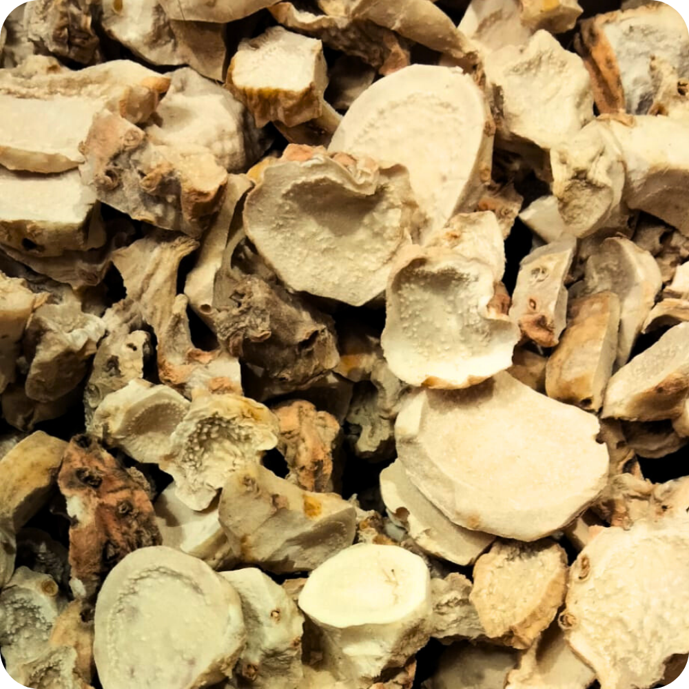 Iris Germanica Rizoma a Rondelle | Invecchiato 3 Anni | Erbe di Letizia