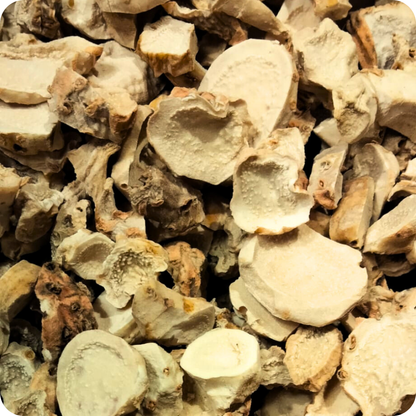 Iris Germanica Rizoma a Rondelle | Invecchiato 3 Anni | Erbe di Letizia