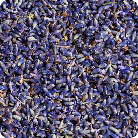 Lavandino fiori sgranati