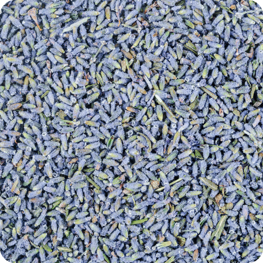 Lavanda vera fiori sgranati