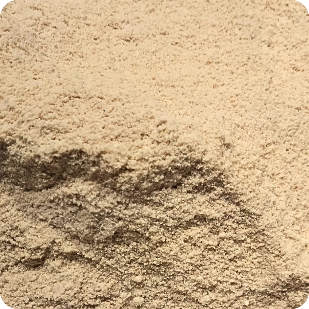 Polvere d'Iris Germanica | Orris Root | 3 Anni di Stagionatura — Erbe di Letizia