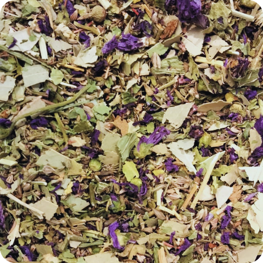 Balsamitux | Tisana Balsamica con Timo e Eucalipto