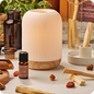 Cofanetto Aromaterapia Kit Palo Santo Nasoterapia con Diffusore Elettrico Holy
