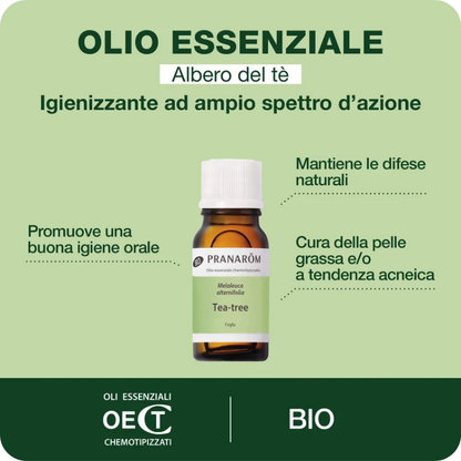 Tea Tree (Albero del Tè / Melaleuca) Bio 10 ml – Pranarōm (Puro 100%, Uso Alimentare, Pelle & Igiene Dentale)