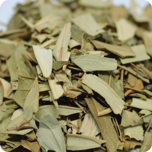 Eucalipto Foglie Taglio Tisana Extra - Formati 50g, 100g e 300g