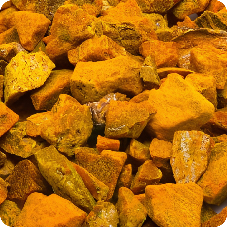 Curcuma Radice Taglio Tisana (Curcuma longa)