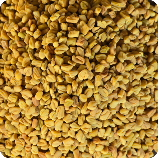 Fieno Greco Semi interi (Trigonella foenum-graecum)