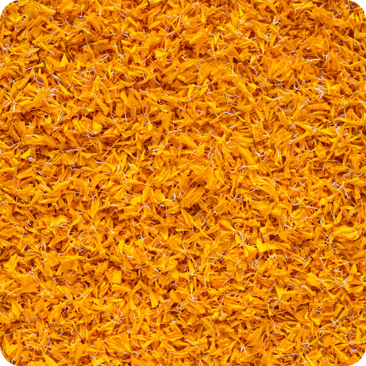 Calendula Petali (Calendula officinalis)