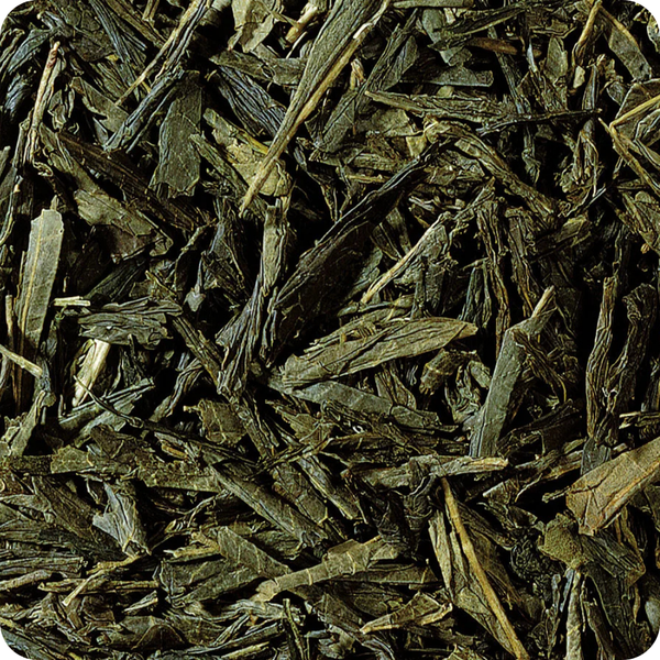 Bancha BIO Giapponese — Tè Verde Classico Quotidiano