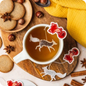 Filtro Volpe Tè Nero Bio Earl Grey al Bergamotto | Filtro Singolo | Confezione da 5 Filtri