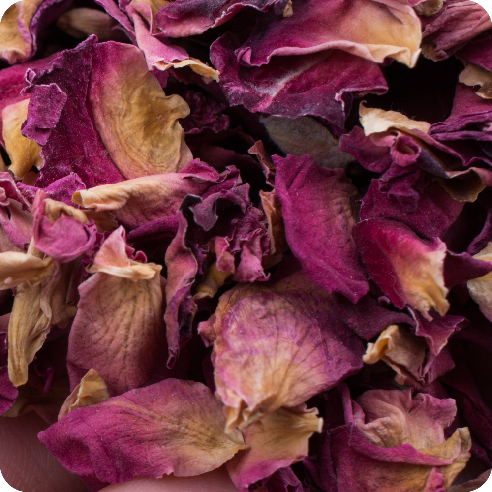 Petali di Rosa Antica | Coltivazione Erbe di Letizia
