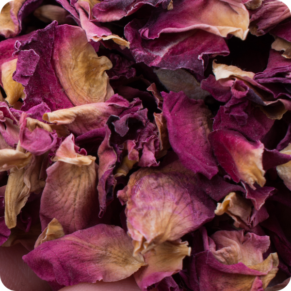 Petali di Rosa Antica | Coltivazione Erbe di Letizia
