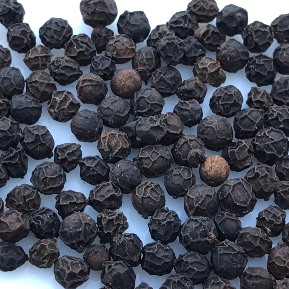 Pepe Nero Tellicherry