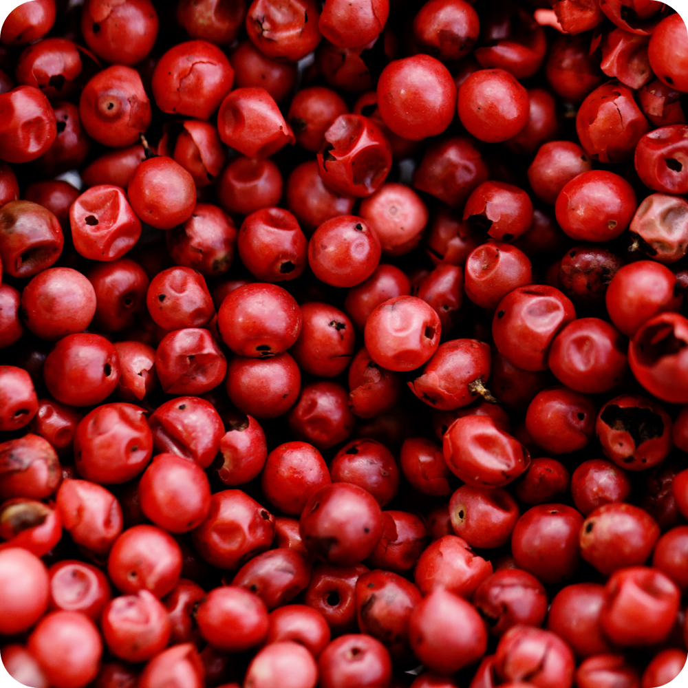 Pepe Rosa Intero (Schinus molle) | Aroma Dolce e Resinoso