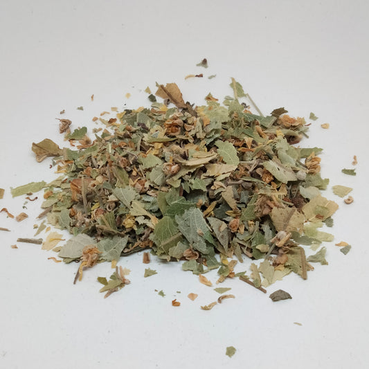 Tiglio fiori e brattee